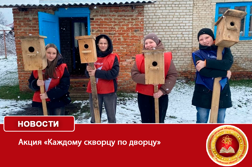 Акция «Каждому скворцу по дворцу».