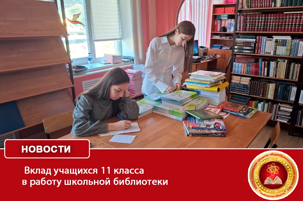 Вклад учащихся 11 класса в работу школьной библиотеки.